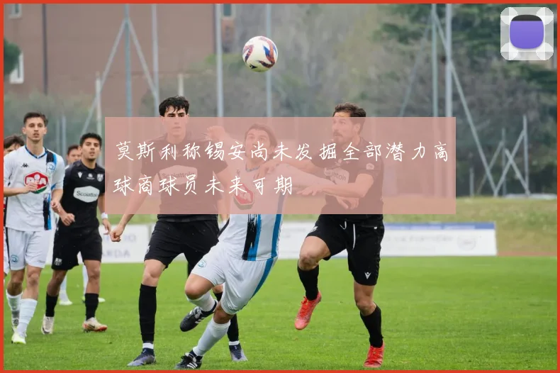 莫斯利称锡安尚未发掘全部潜力高球商球员未来可期